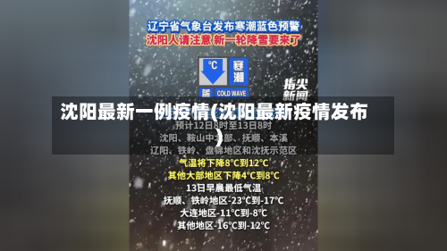 沈阳最新一例疫情(沈阳最新疫情发布)-第2张图片