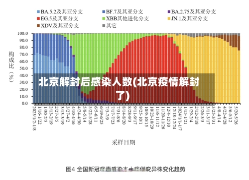 北京解封后感染人数(北京疫情解封了)-第2张图片