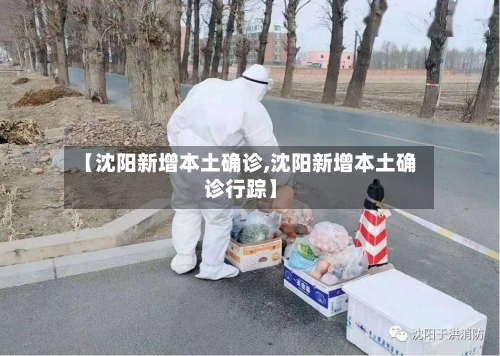 【沈阳新增本土确诊,沈阳新增本土确诊行踪】-第3张图片