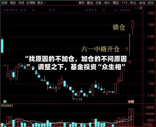 “找原因的不加仓，加仓的不问原因”，调整之下	，基金投资“众生相”-第2张图片