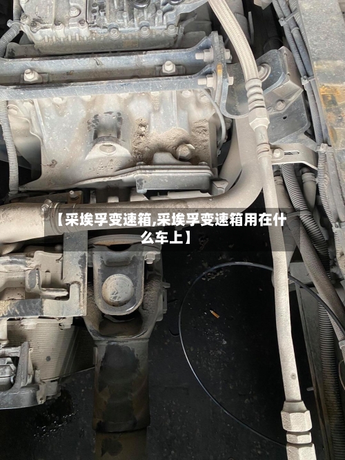 【采埃孚变速箱,采埃孚变速箱用在什么车上】-第2张图片