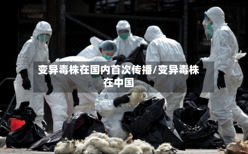 变异毒株在国内首次传播/变异毒株在中国-第2张图片