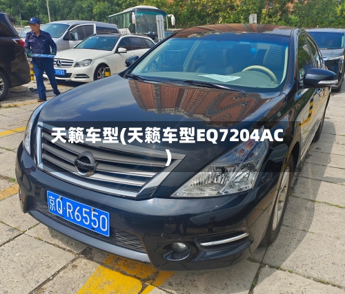 天籁车型(天籁车型EQ7204AC)-第2张图片