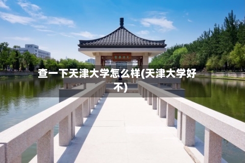 查一下天津大学怎么样(天津大学好不)
