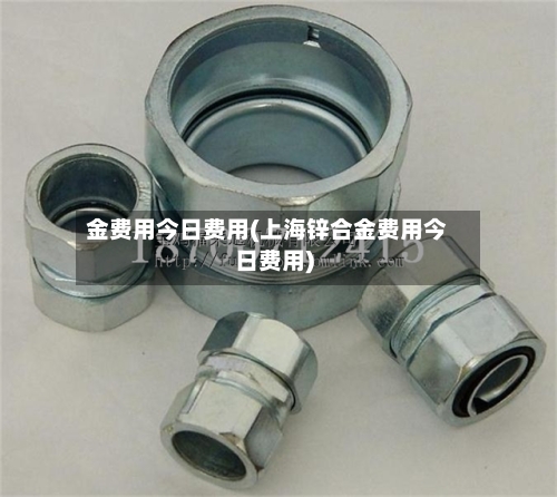 金费用今日费用(上海锌合金费用今日费用)-第3张图片