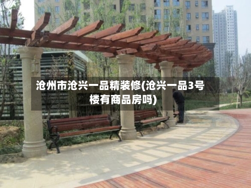 沧州市沧兴一品精装修(沧兴一品3号楼有商品房吗)