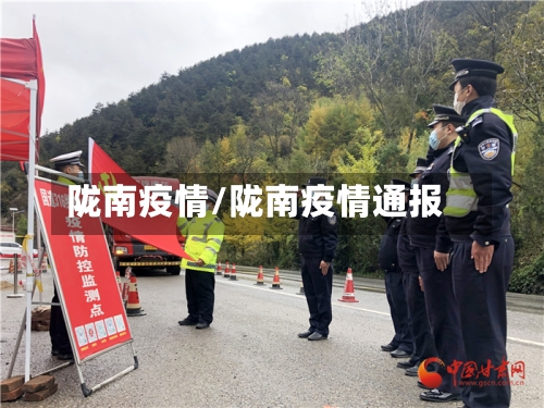陇南疫情/陇南疫情通报-第3张图片