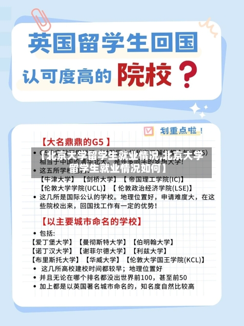 【北京大学留学生就业情况,北京大学留学生就业情况如何】