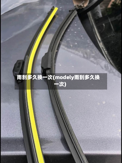 雨刮多久换一次(modely雨刮多久换一次)