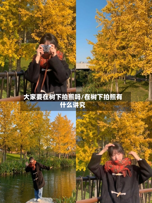 大家要在树下拍照吗/在树下拍照有什么讲究