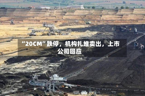 “20CM”跌停	，机构扎堆卖出，上市公司回应-第2张图片