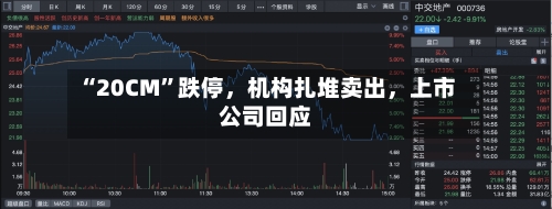 “20CM”跌停，机构扎堆卖出	，上市公司回应-第3张图片