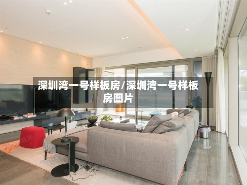 深圳湾一号样板房/深圳湾一号样板房图片-第2张图片