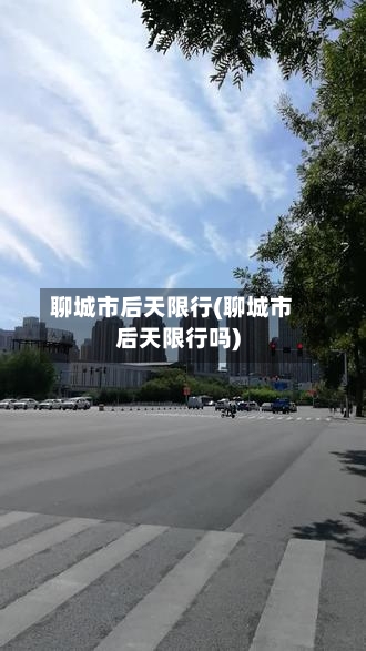 聊城市后天限行(聊城市后天限行吗)-第3张图片