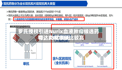 罗氏授权引进Nurix血液肿瘤候选药物，交易总额比较高可达23亿美元-第2张图片