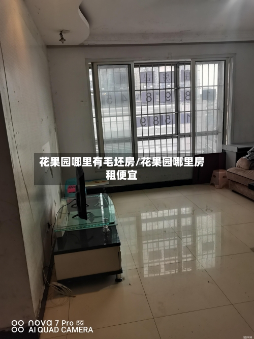 花果园哪里有毛坯房/花果园哪里房租便宜-第3张图片