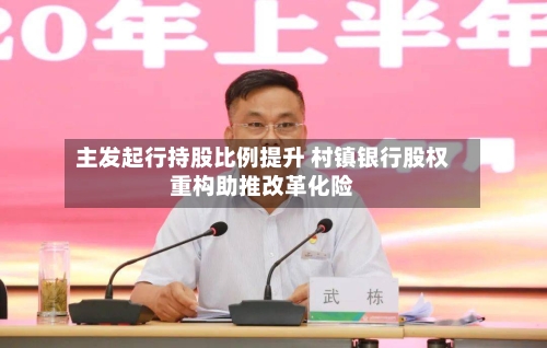 主发起行持股比例提升 村镇银行股权重构助推改革化险-第2张图片