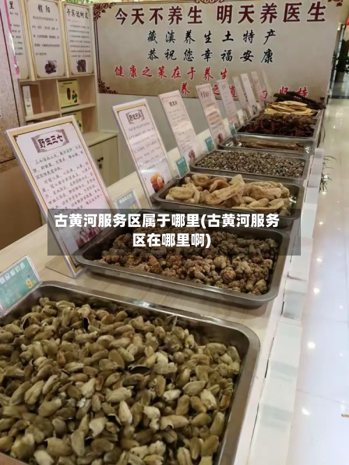 古黄河服务区属于哪里(古黄河服务区在哪里啊)