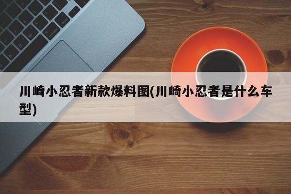 川崎小忍者新款爆料图(川崎小忍者是什么车型)