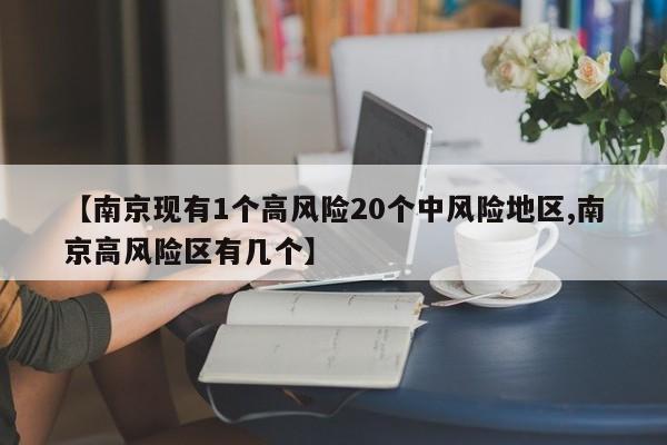【南京现有1个高风险20个中风险地区,南京高风险区有几个】