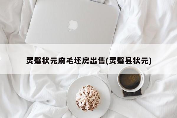 灵璧状元府毛坯房出售(灵璧县状元)