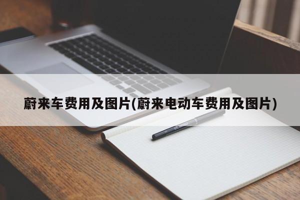 蔚来车费用及图片(蔚来电动车费用及图片)