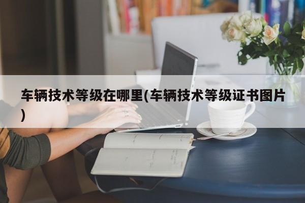 车辆技术等级在哪里(车辆技术等级证书图片)