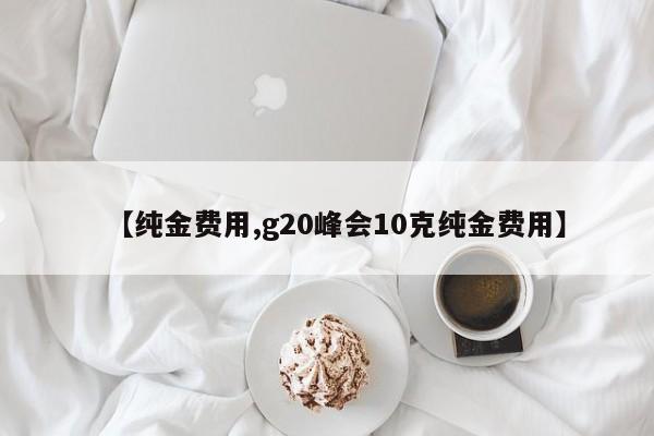 【纯金费用,g20峰会10克纯金费用】