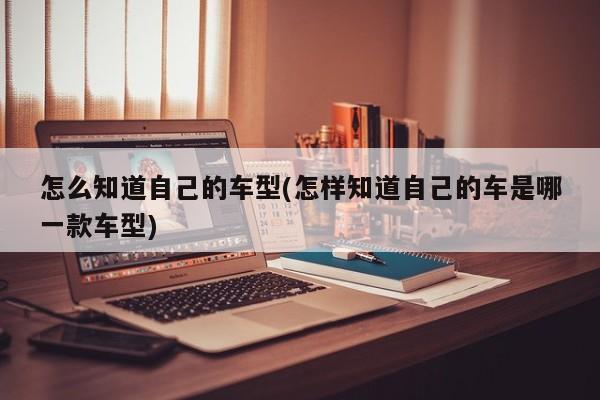 怎么知道自己的车型(怎样知道自己的车是哪一款车型)