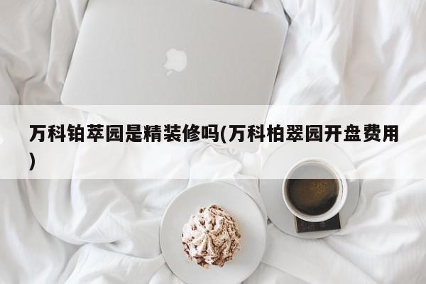 万科铂萃园是精装修吗(万科柏翠园开盘费用)