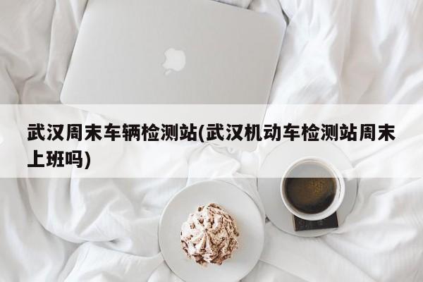 武汉周末车辆检测站(武汉机动车检测站周末上班吗)