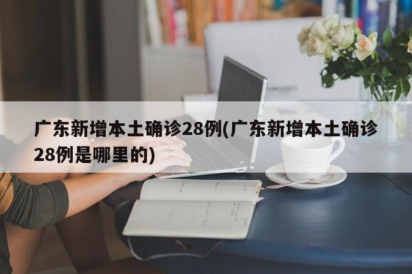 广东新增本土确诊28例(广东新增本土确诊28例是哪里的)