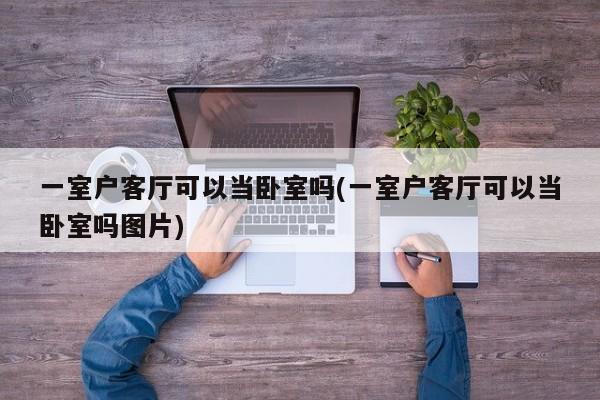 一室户客厅可以当卧室吗(一室户客厅可以当卧室吗图片)