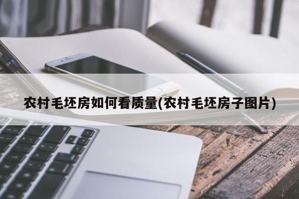 农村毛坯房如何看质量(农村毛坯房子图片)